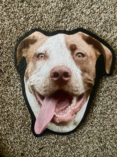 Preview pic of Your pet on a dabmat