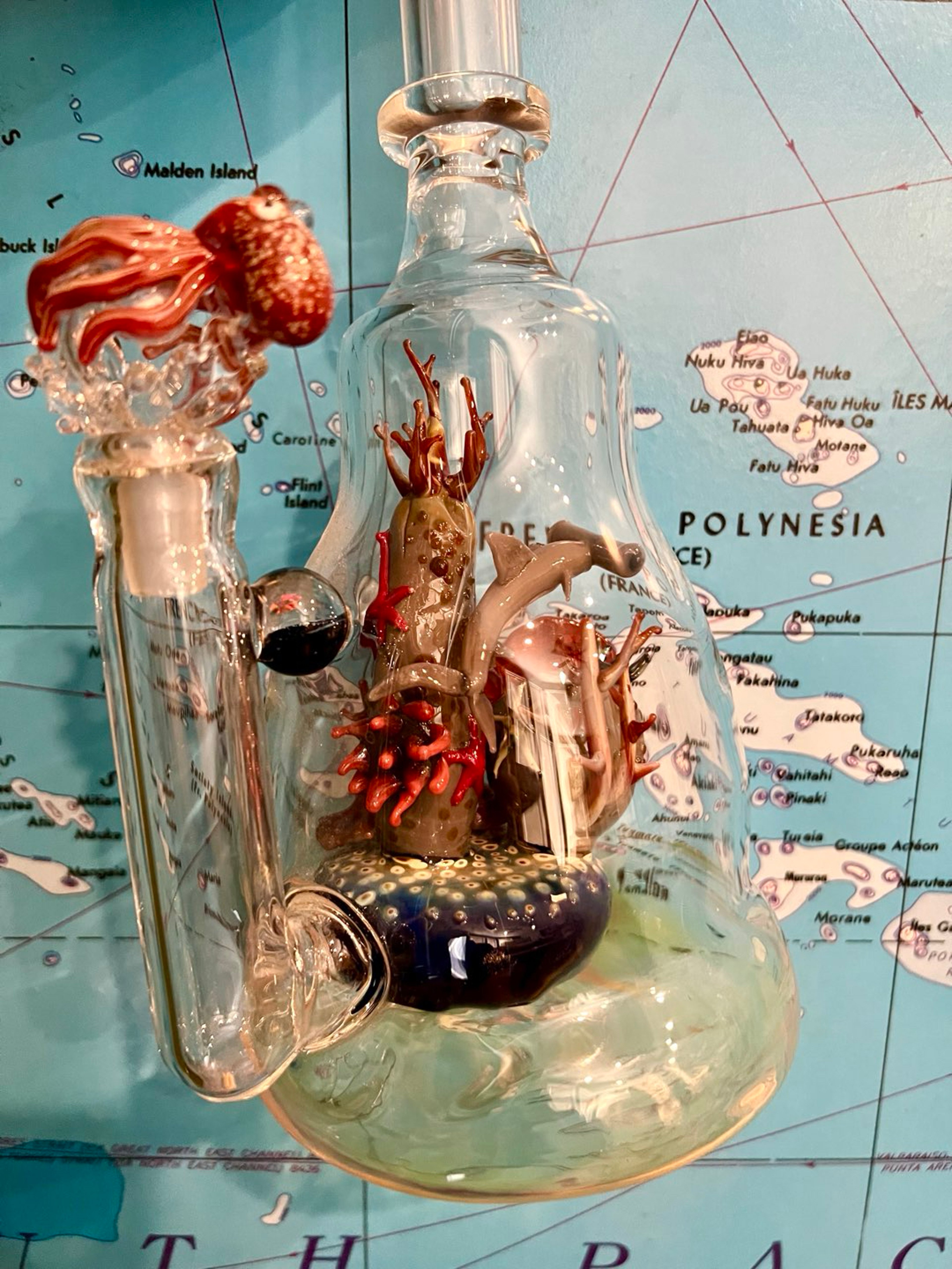 Preview pic of Coral 🪸 Reef