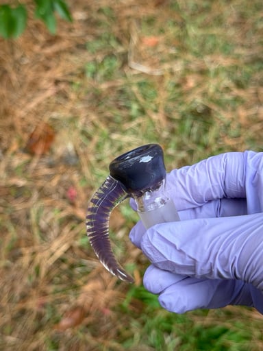 Preview pic of Purp 18mm Slide + AC