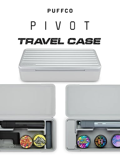 Preview pic of Puffco Pivot Travel Case