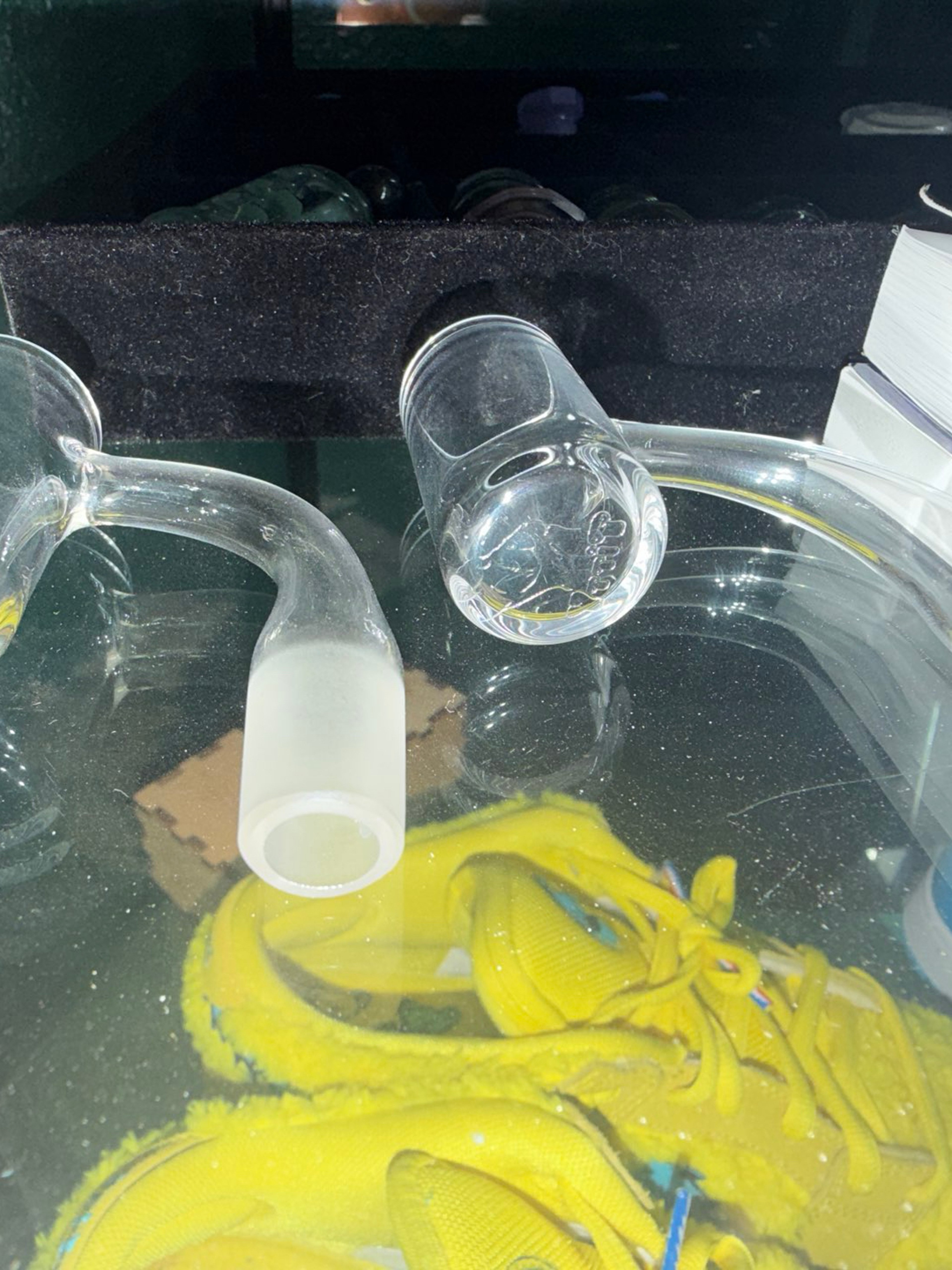 Evan shore titty banger image 0