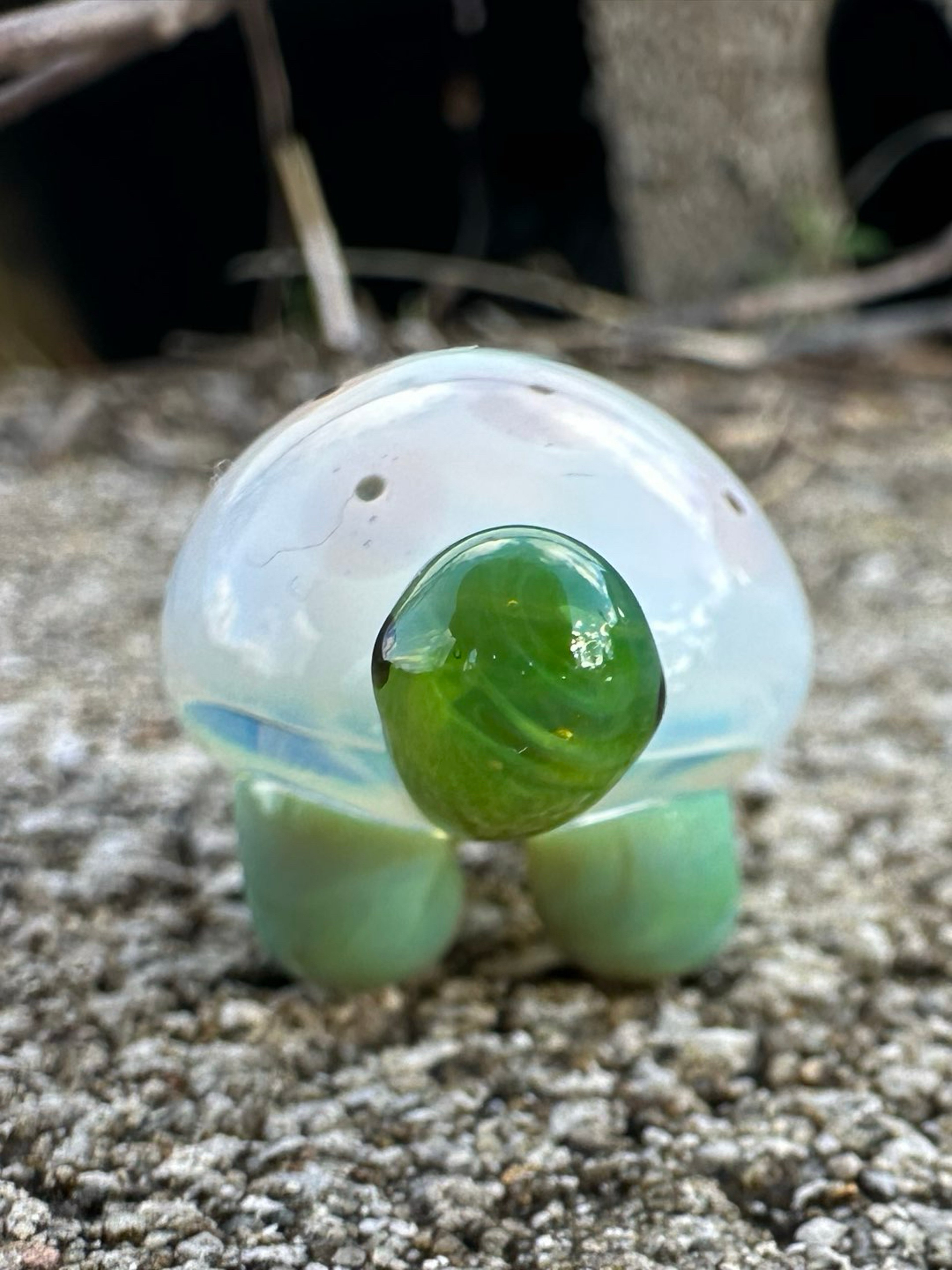 Preview pic of Pink Eyed Ghost Slurtle