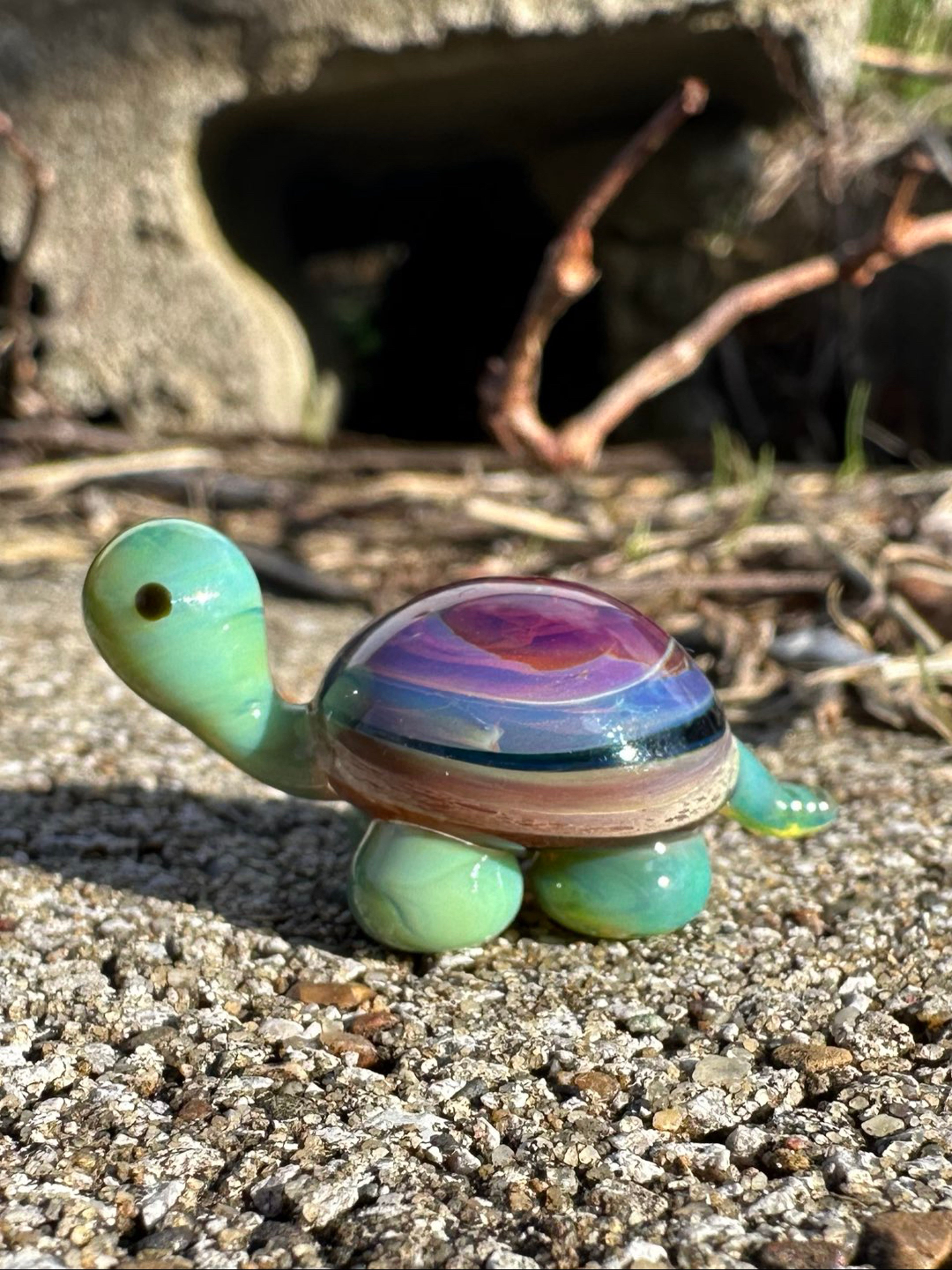 Preview pic of Gutsy Slurtle