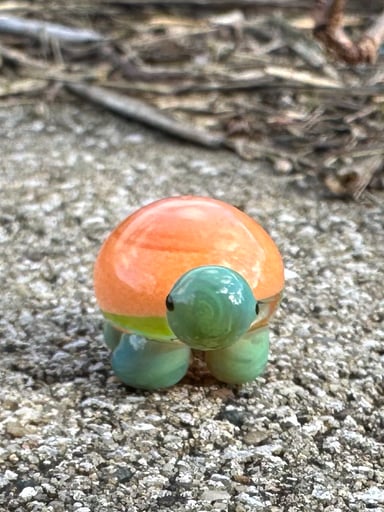 Preview pic of Magic Pumpkin Slurtle 1