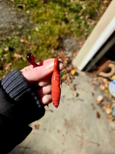 Preview pic of Encased Pendant