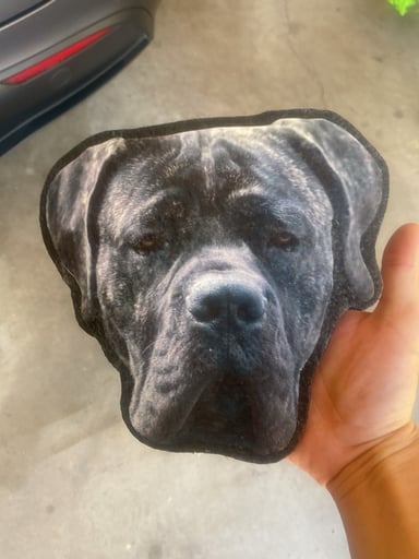 Preview pic of Your pet  image dabmat