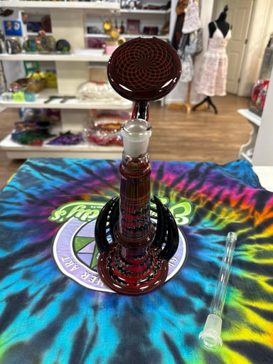 Preview pic of Kevin Murray 2010 Stand Up Bub