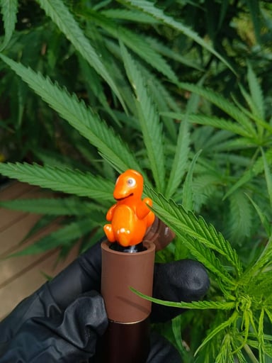 Preview pic of Charmander Pivot Cap