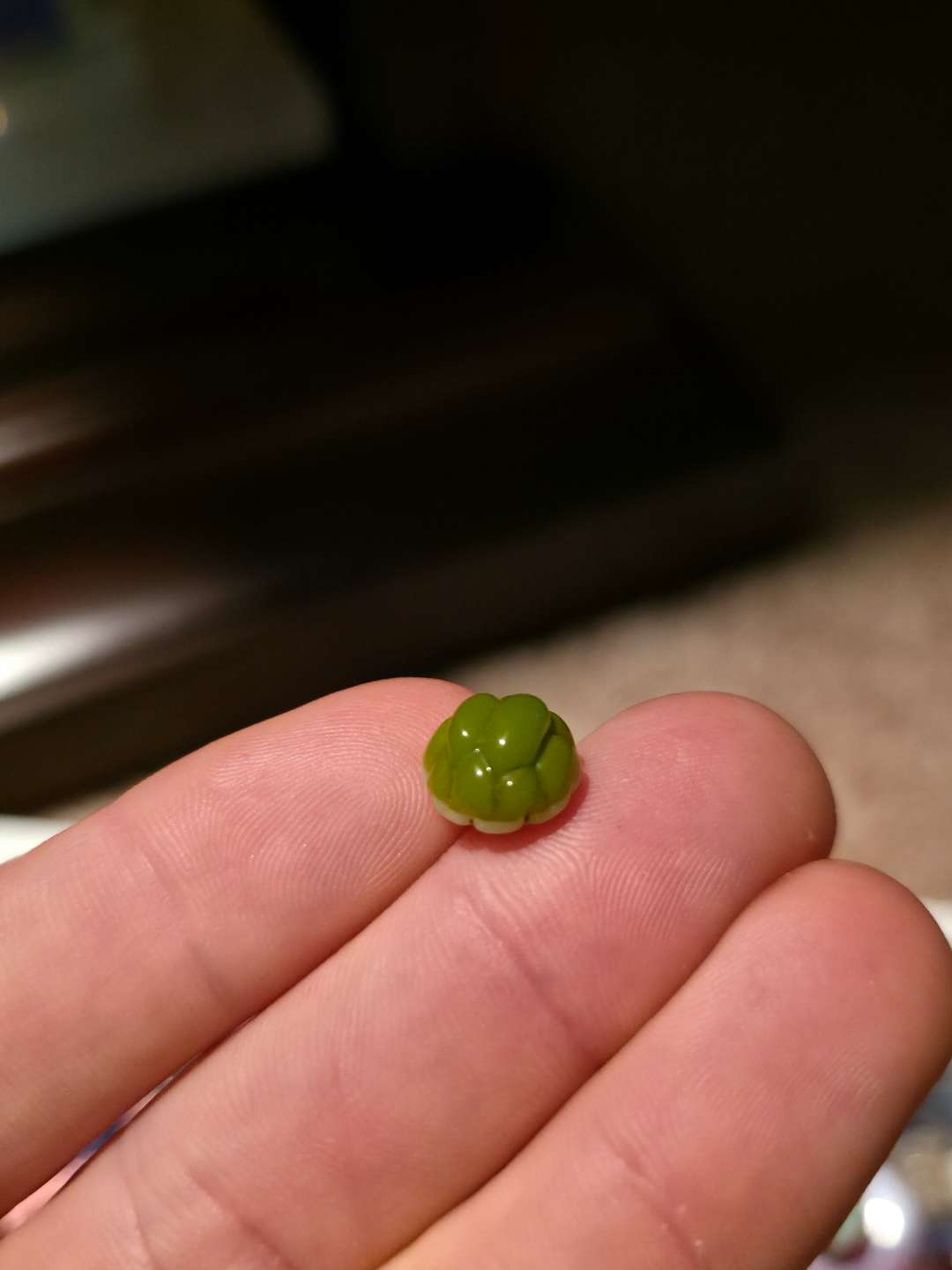 Preview pic of Porter/belmont/cookie