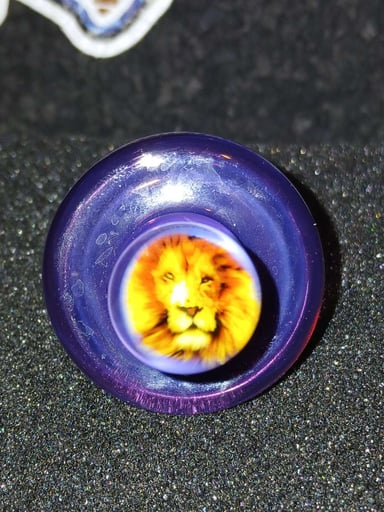Preview pic of Lion Millie Spinner Cap