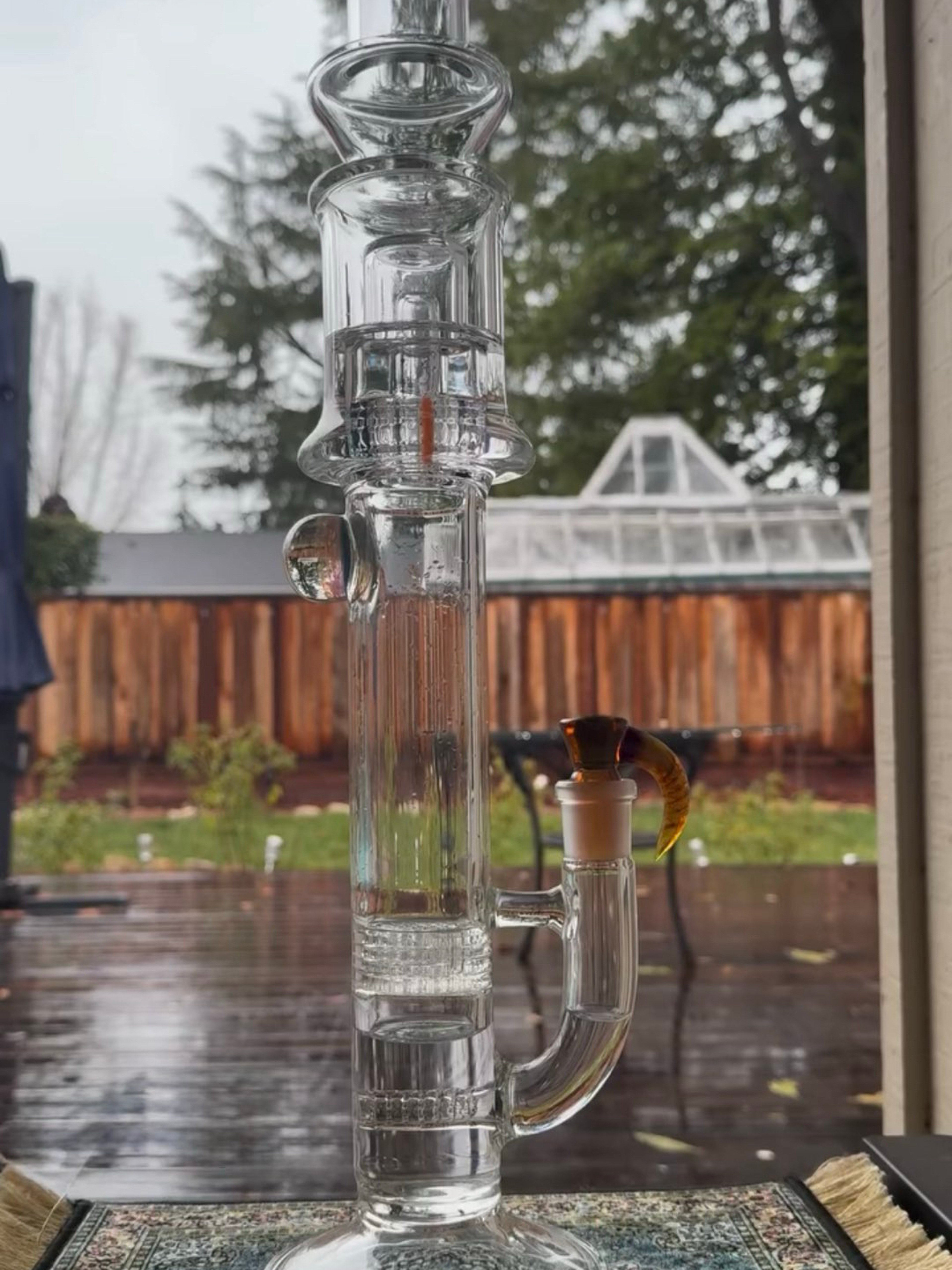 2016 Symbiartic image 0