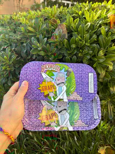 Preview pic of Rick Cartoon Magnetic Lid Rolling Tray