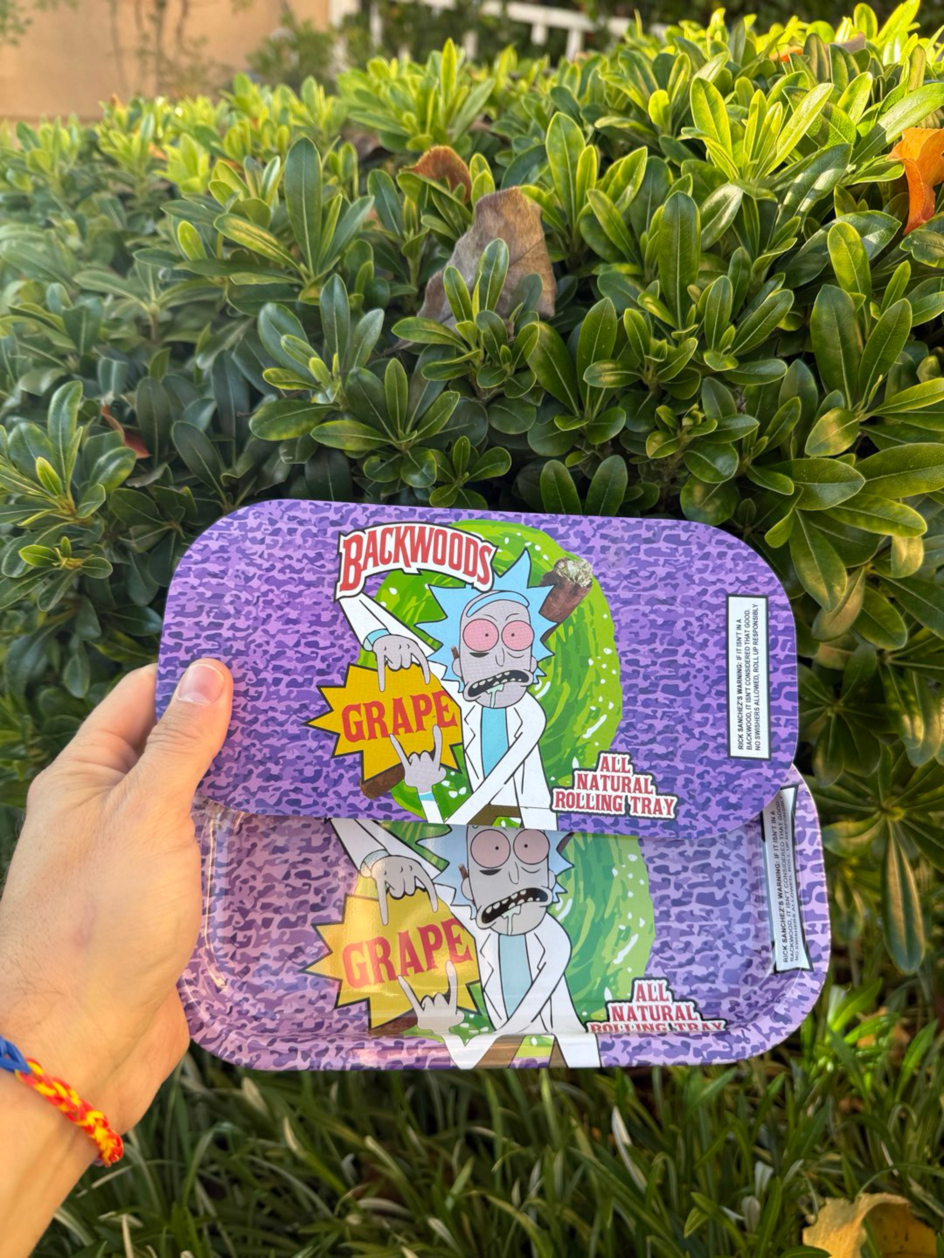 Rick Cartoon Magnetic Lid Rolling Tray image 0