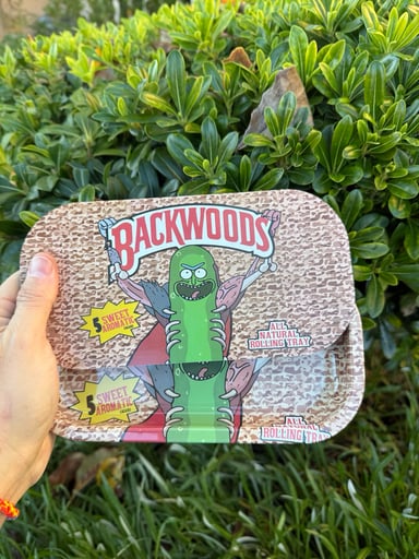 Preview pic of Pickle Rick Magnetic Lid Rolling Tray