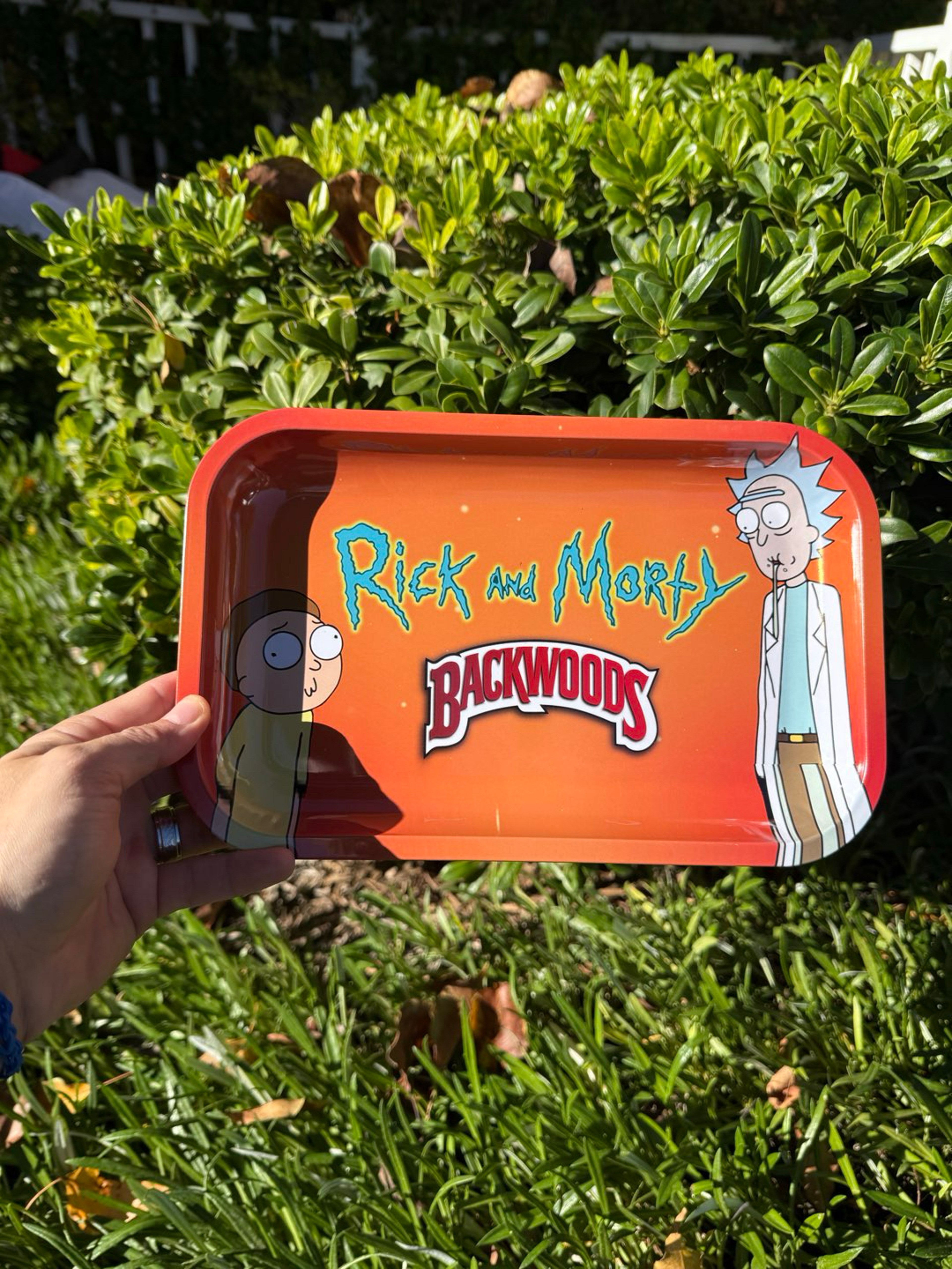 Rick Cartoon Metal Rolling Tray image 0