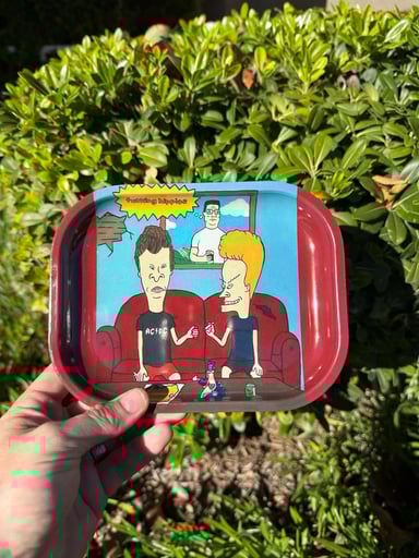 Preview pic of Beavis & Butthead Metal Rolling Tray