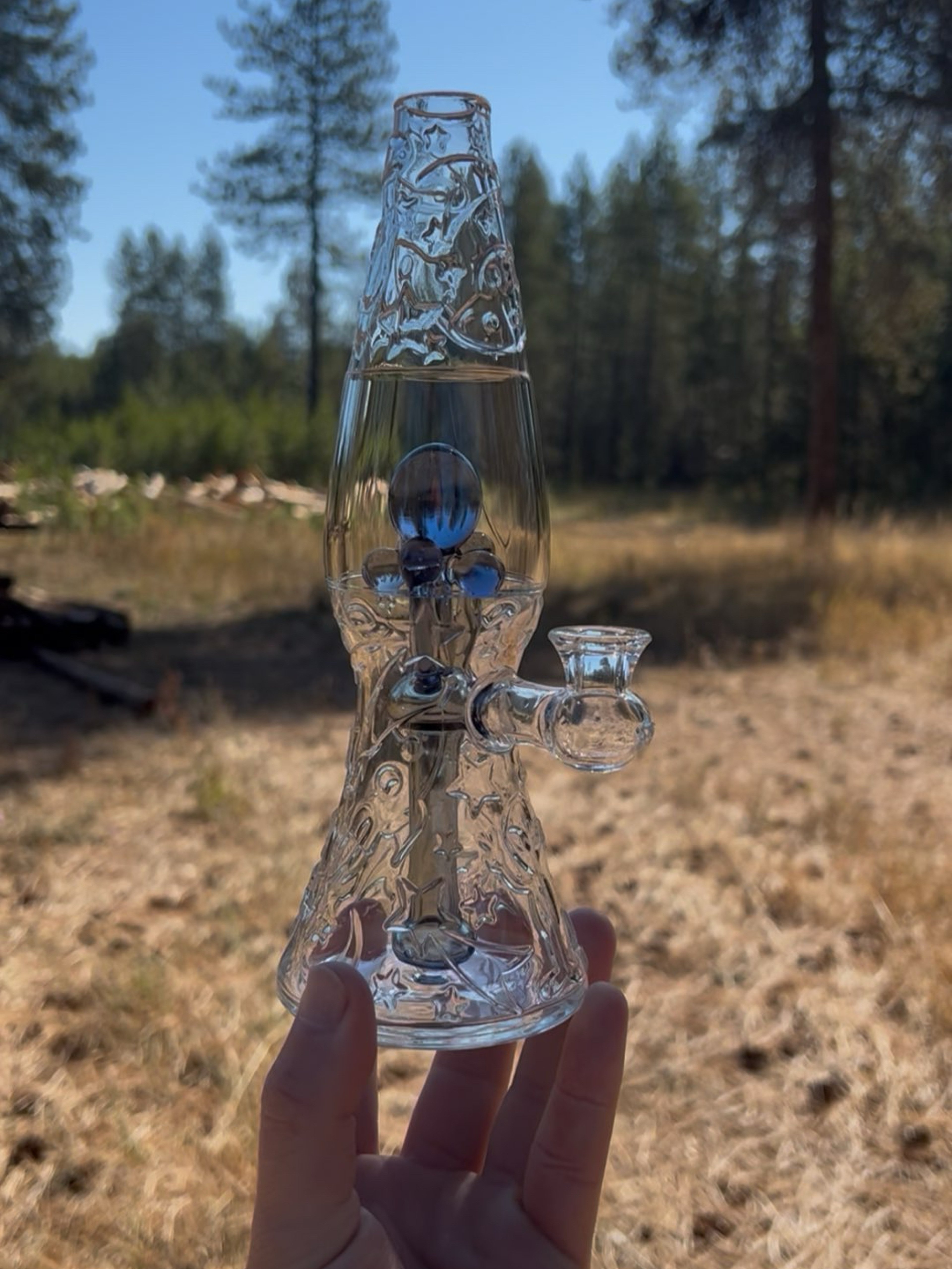 CFL Bluegrass flame polished carved alien lamp image 0