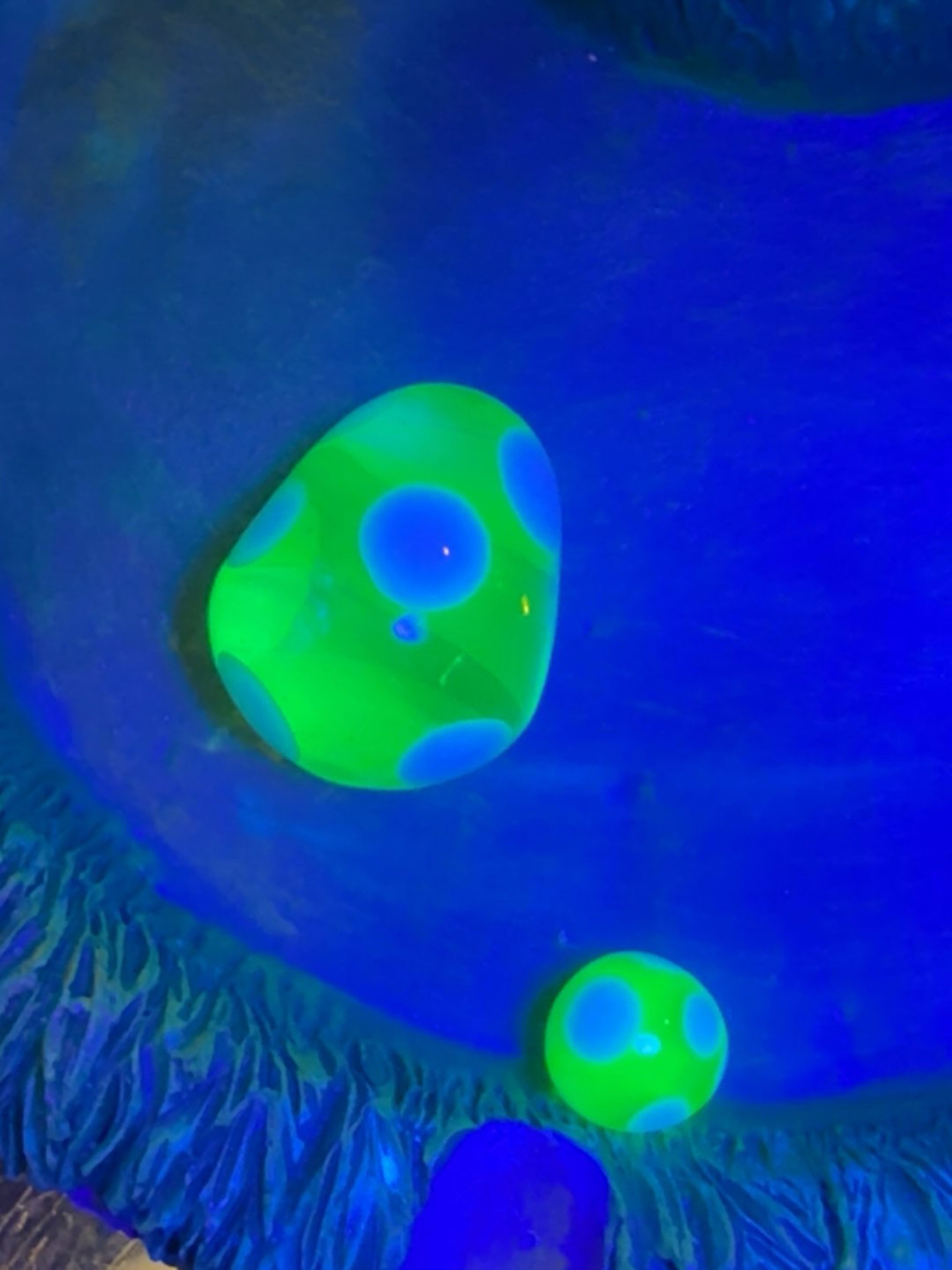 Preview pic of ooze glass toshiba egg slurper set