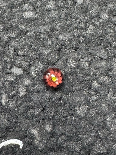 Preview pic of 6mm pearl with milli image 11