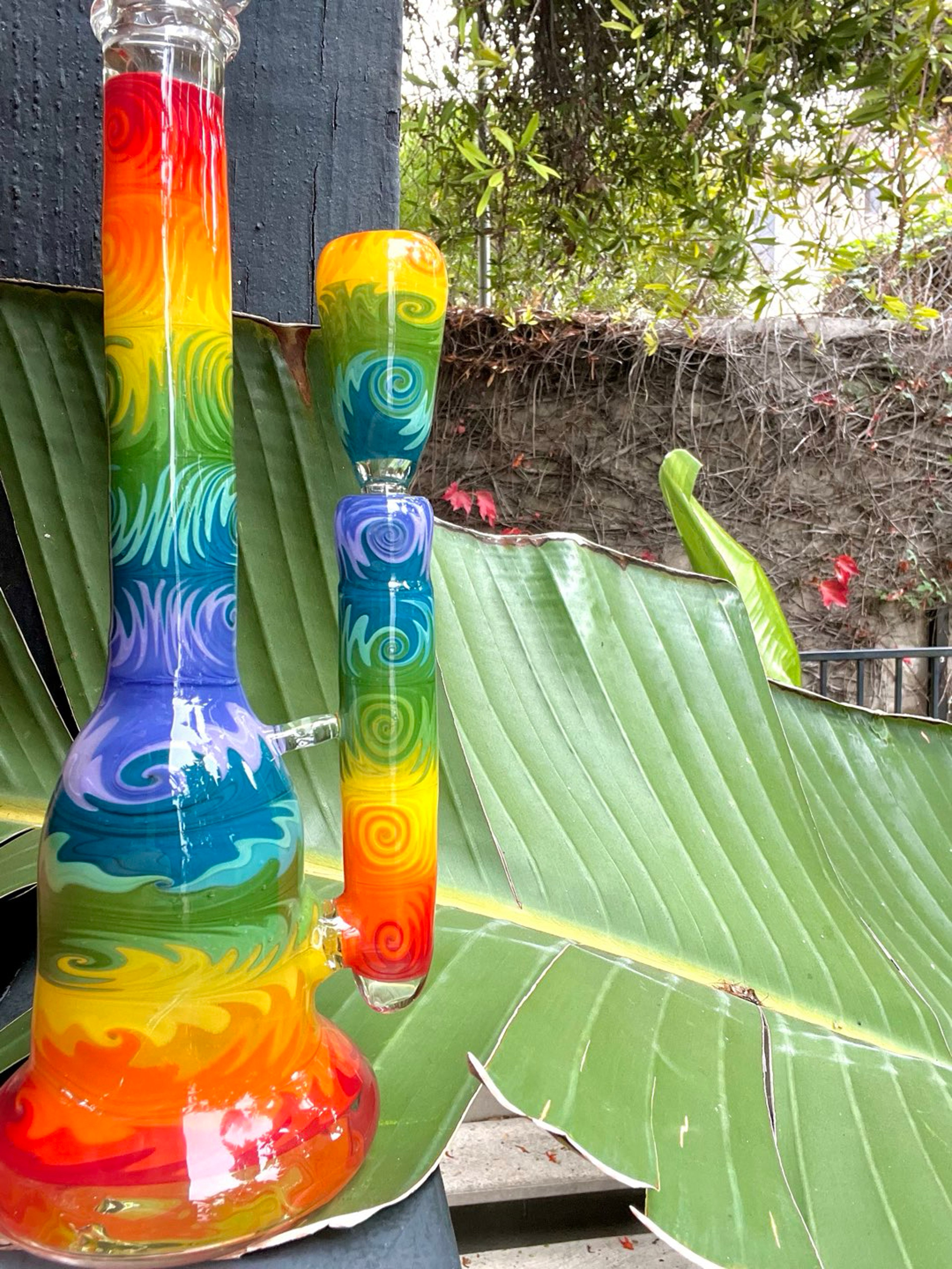 🌈Heady Rainbow ▶️ Function video image 0