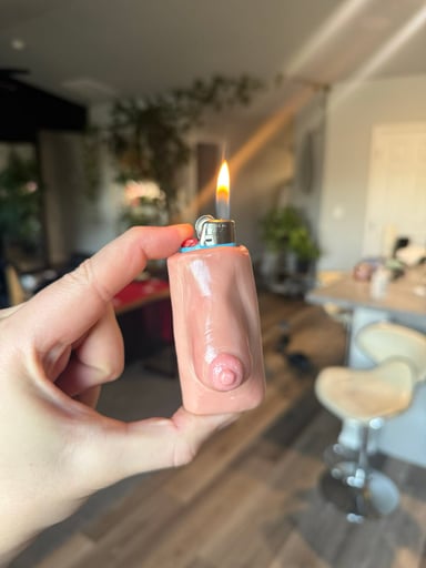 Preview pic of Handmade boob lighter case