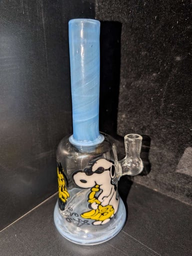 Preview pic of Windstar Snoopy & Woodstock W⭐'16