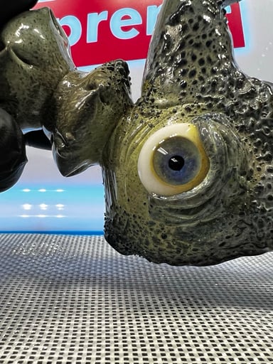 Preview pic of Honest Heady Hand Pipe