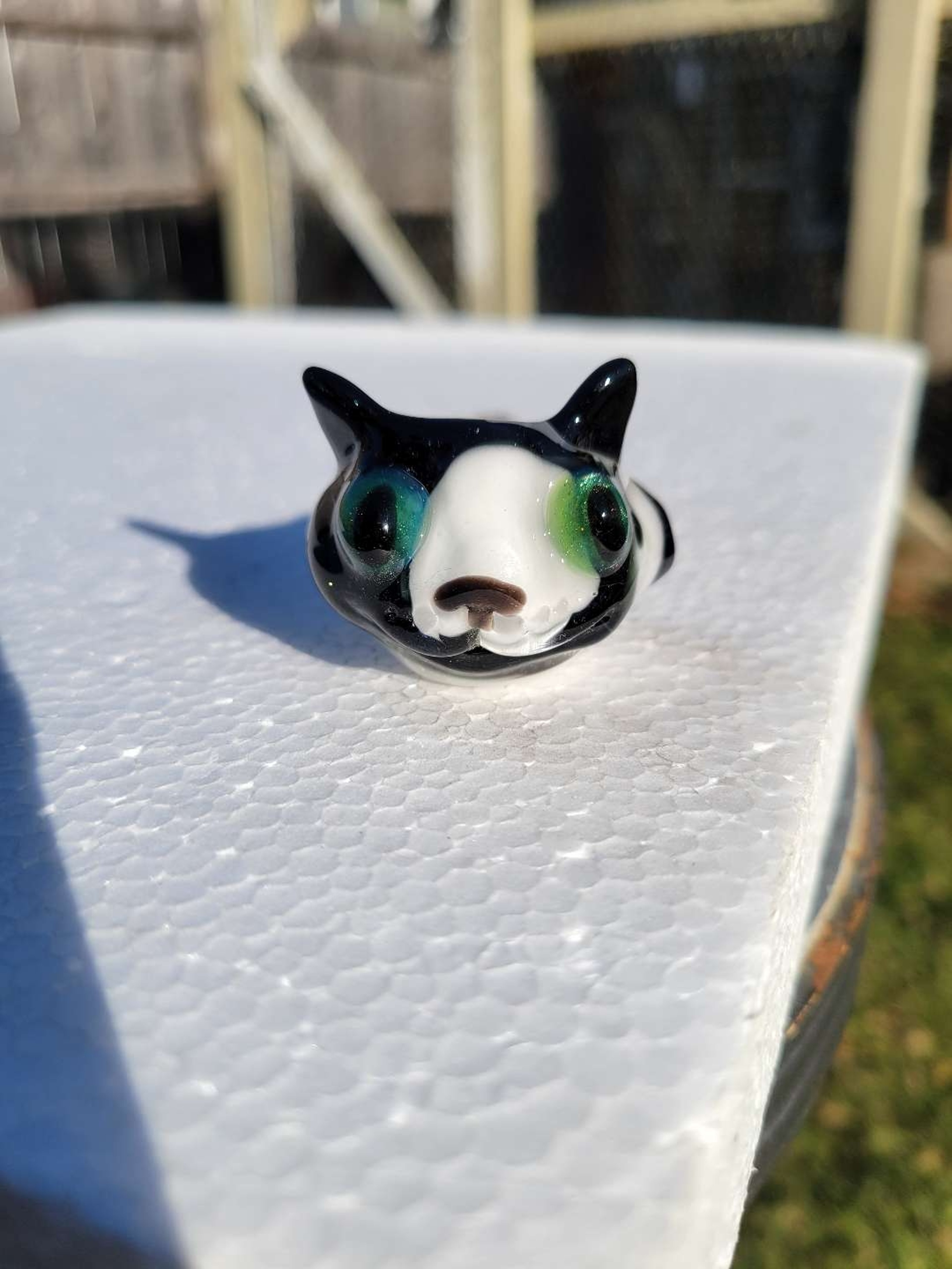 Preview pic of Piebald  kitty