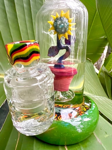 Preview pic of Sun Flower in pot 🌻💧▶️