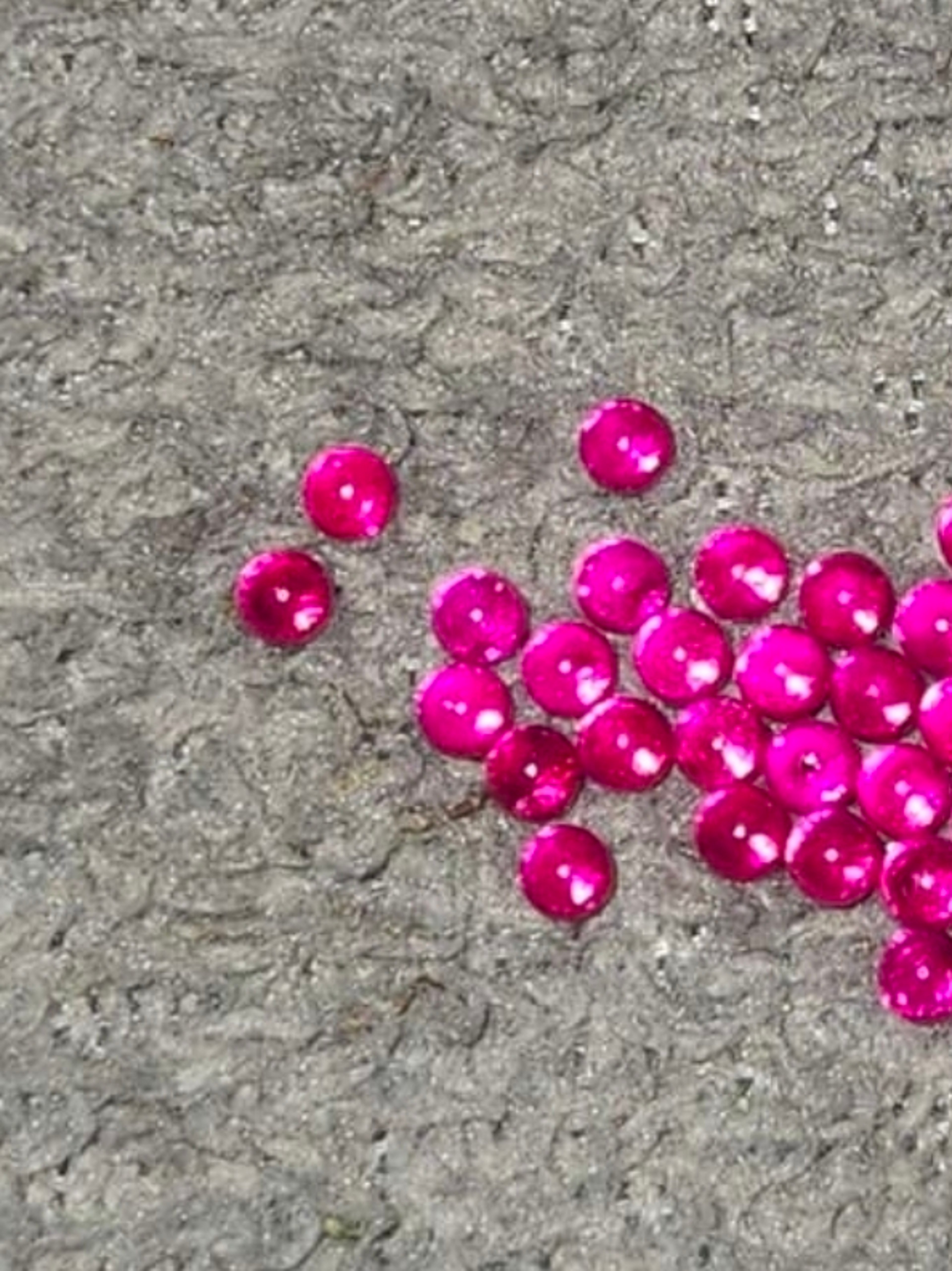 20 count ruby terp pearls image 0