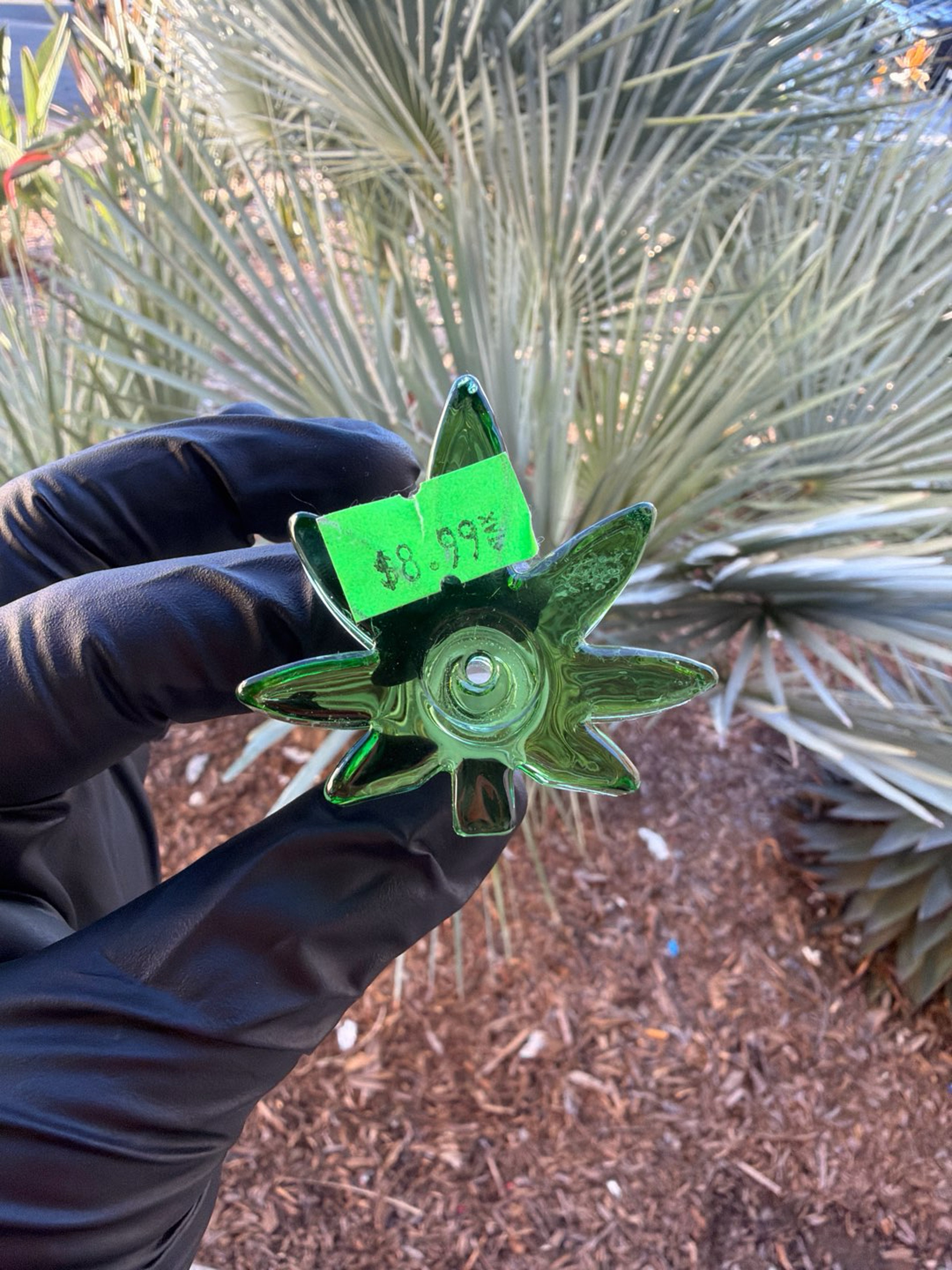 Preview pic of Bowl Cover