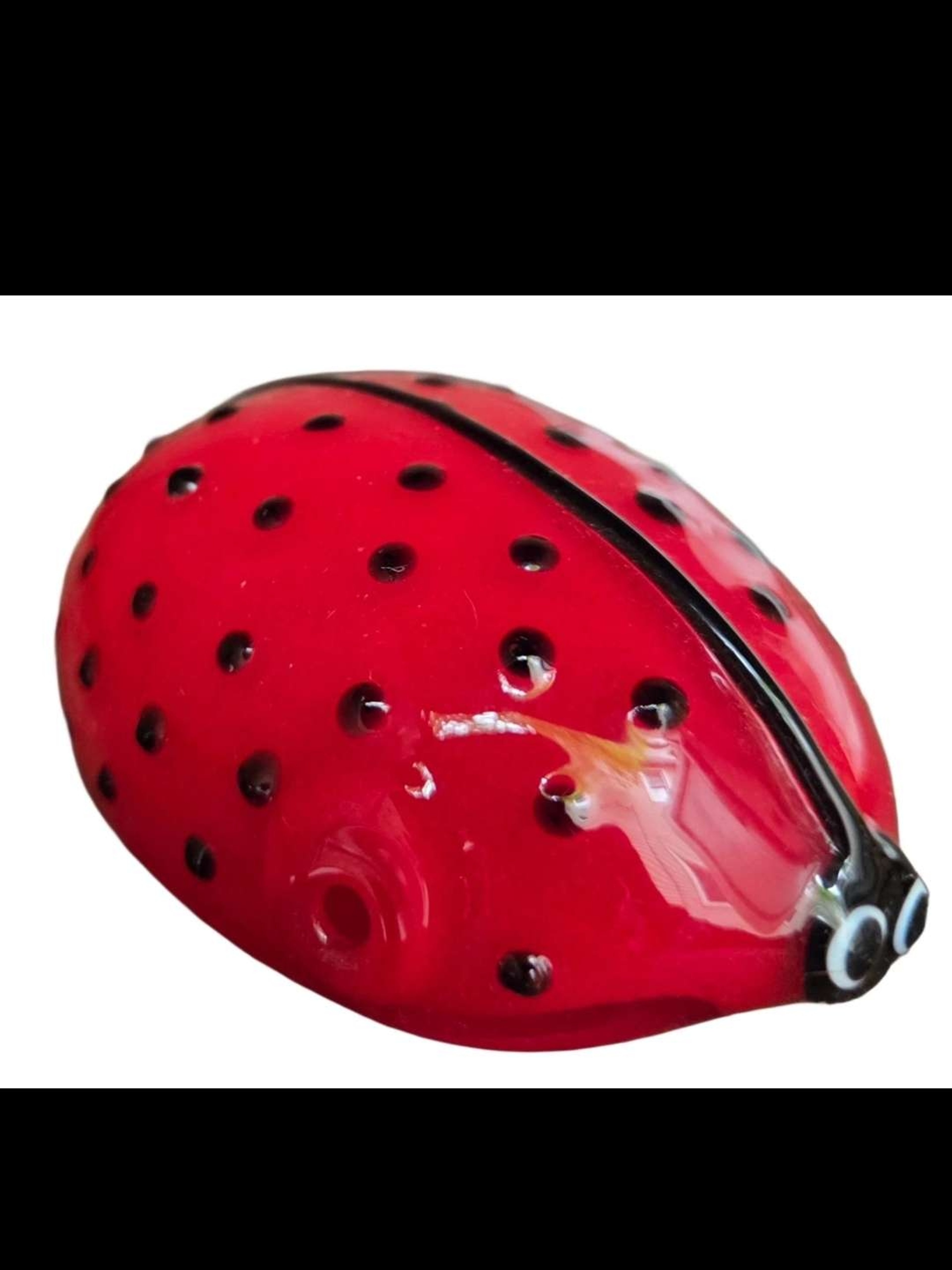 Preview pic of Ladybug Glasspipe