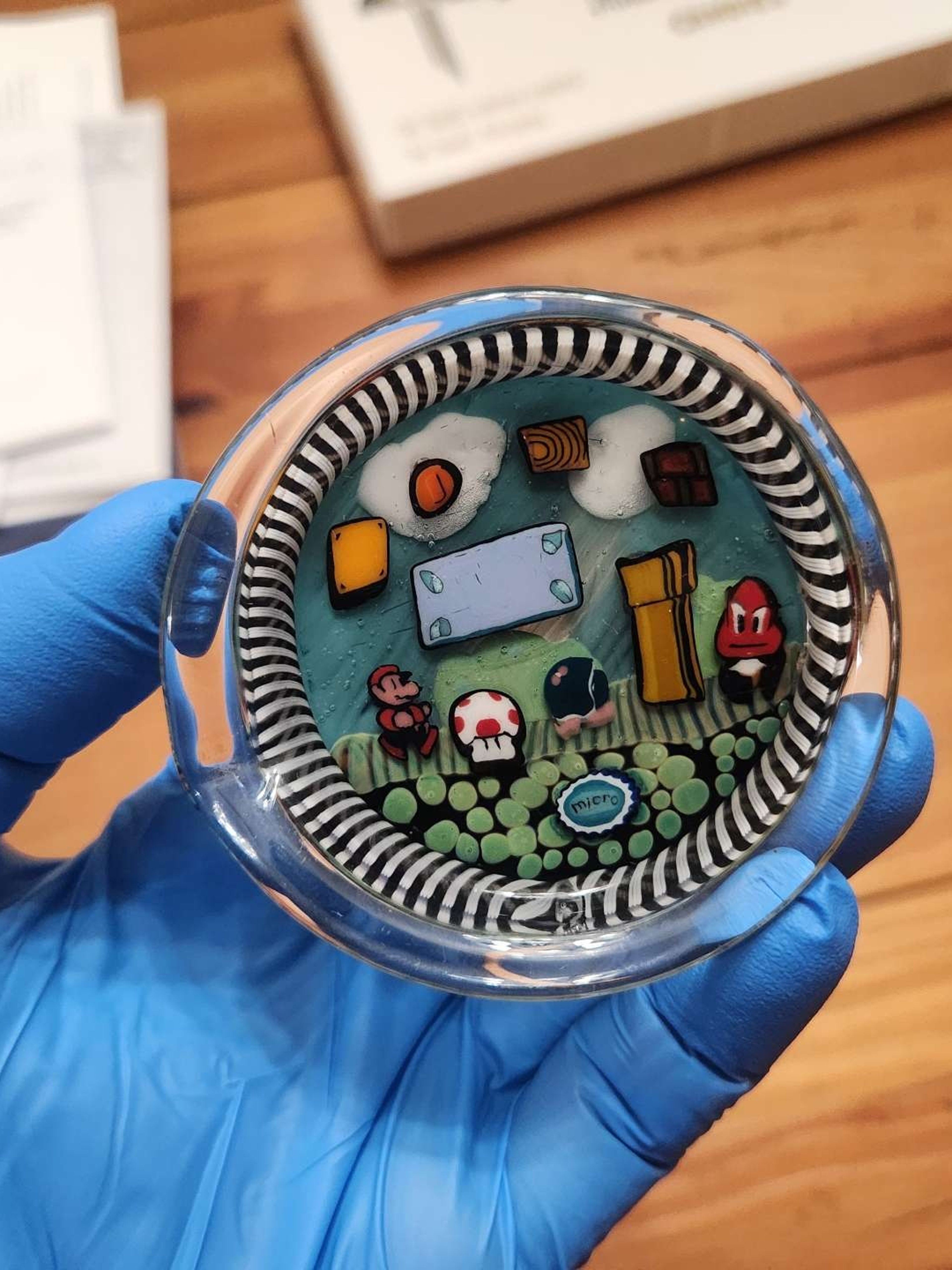 Micro Mario OG Level 1-1 Millie Scene Dish image 0