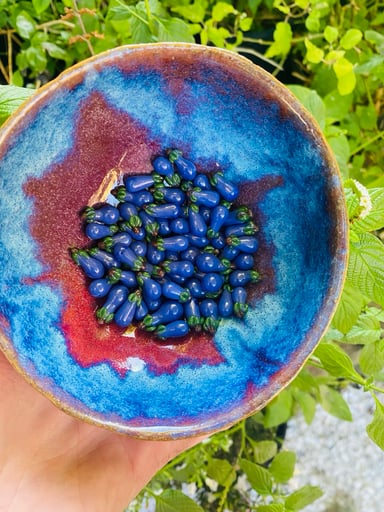 Preview pic of Eggplant terp Pearl