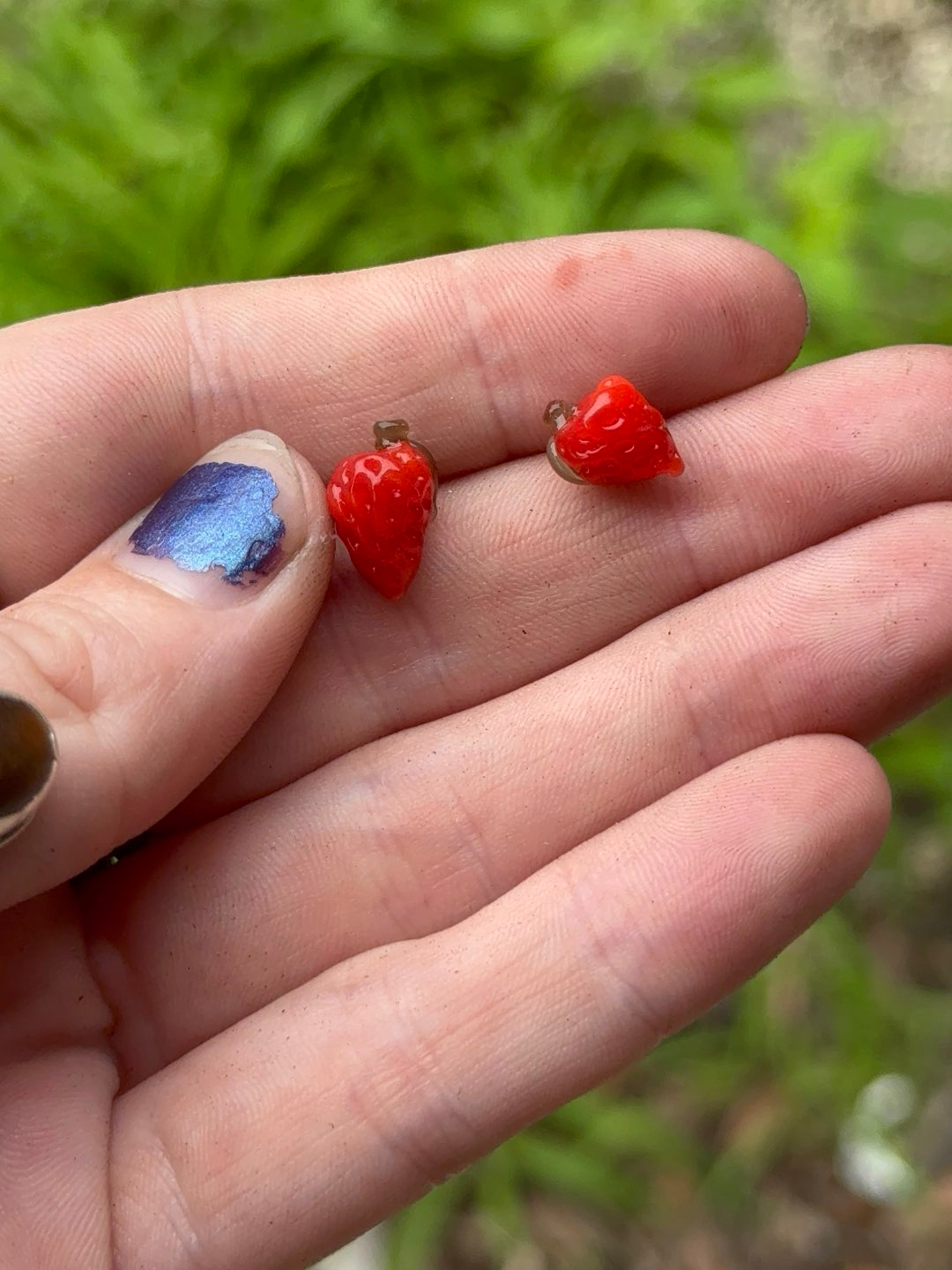 Preview pic of Strawberry terp Pearl