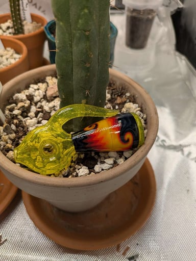 Preview pic of Fire Donut Chillum