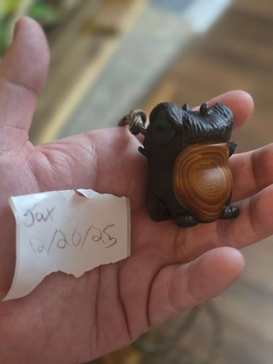 Preview pic of Wood frog kazy gids