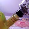 Small image 4