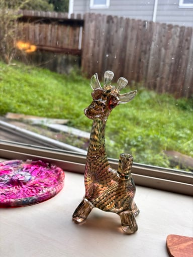 Preview pic of Robertson dosh collab