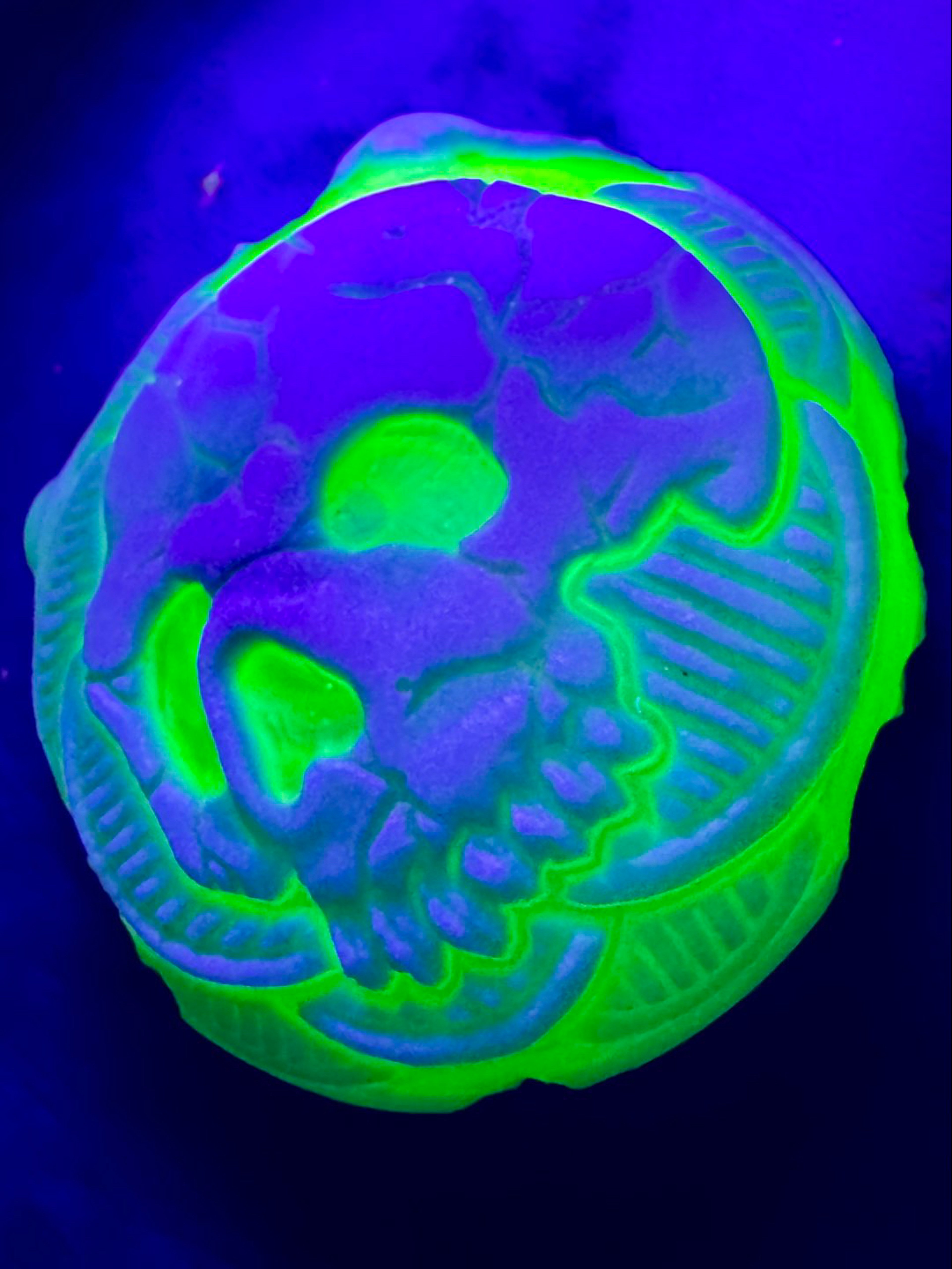 Preview pic of Rye Carved Skull Backed in Illuminati