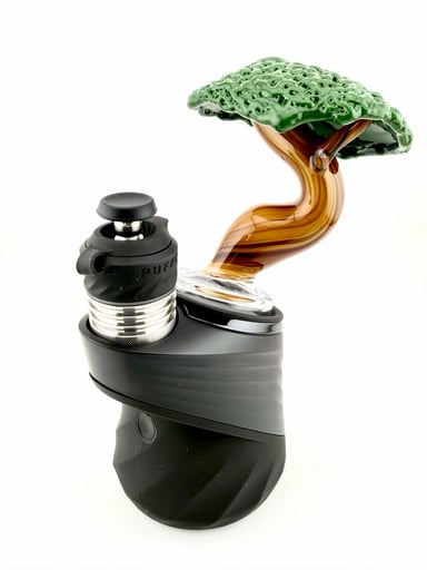 Preview pic of Bonsai Puffco Dry Top #4