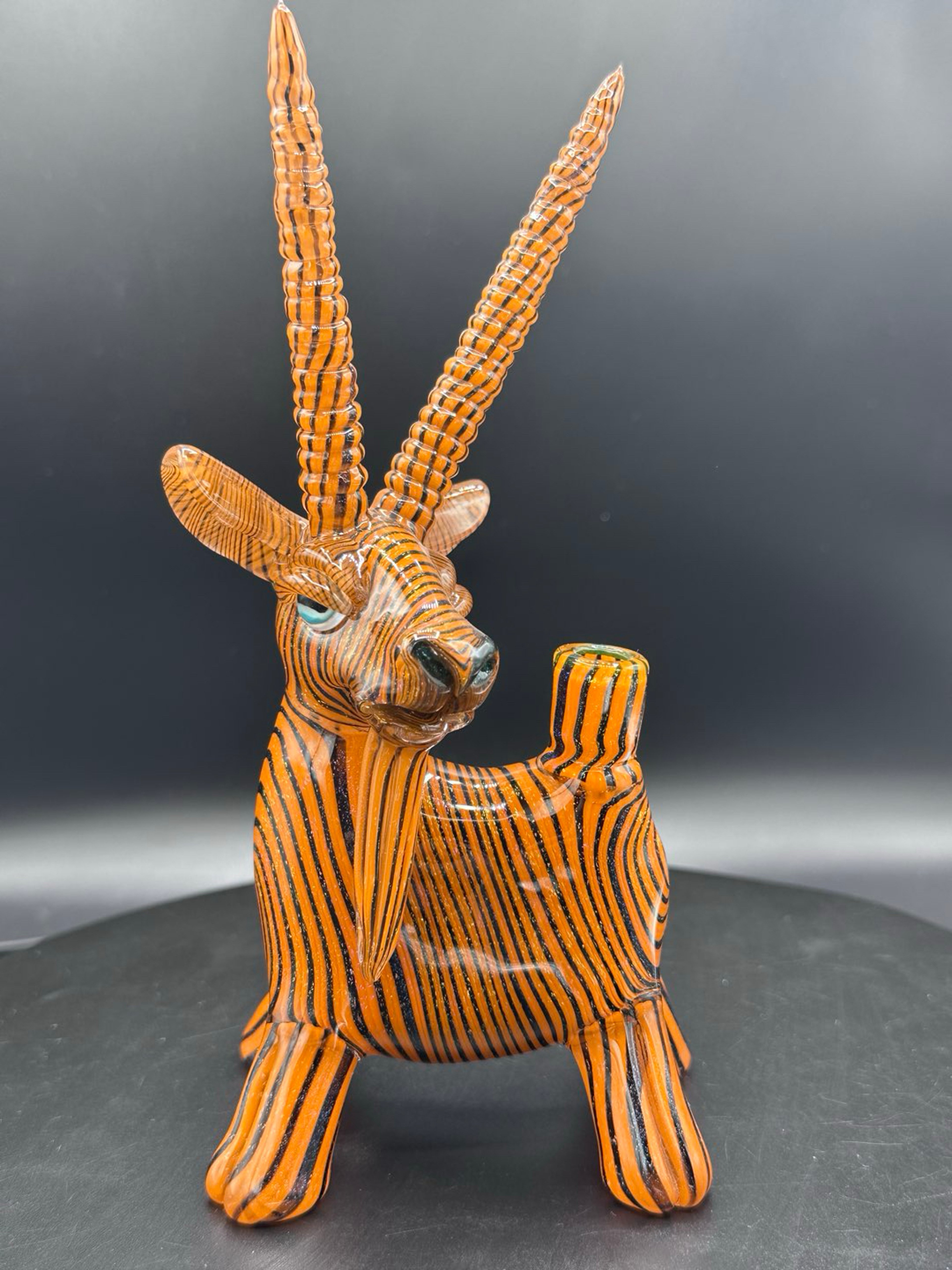 Preview pic of Robertson Goat