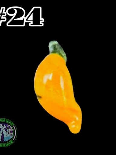 Preview pic of YBOT - Terp Pearl #24 - Inferno Pepper