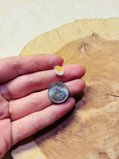 Preview pic of Fried egg terp pearl