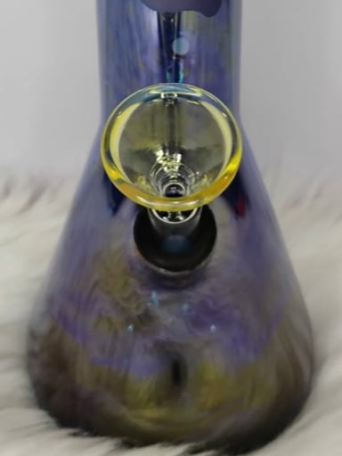 Preview pic of Dodger's Love 💙