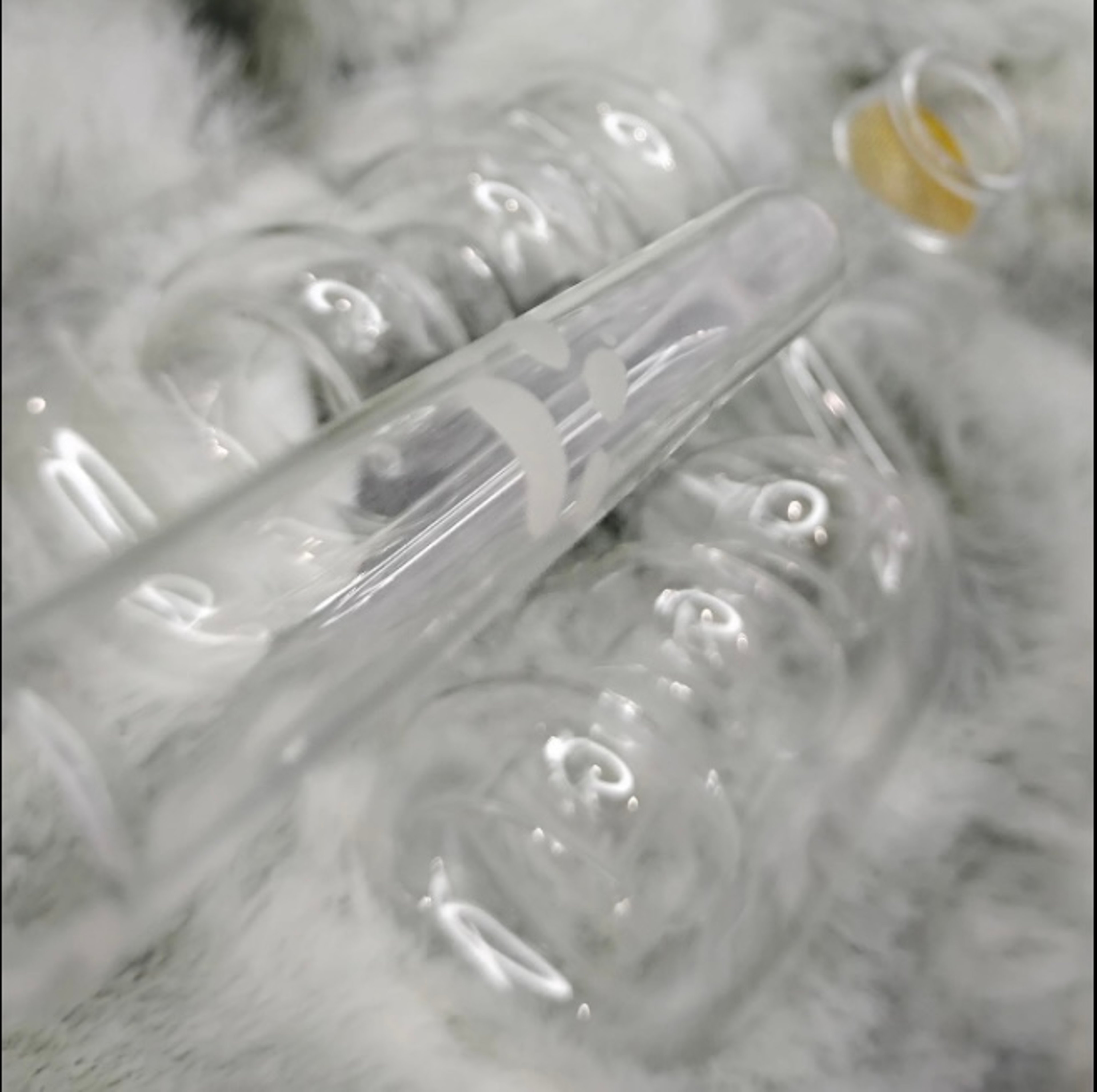 Preview pic of casper