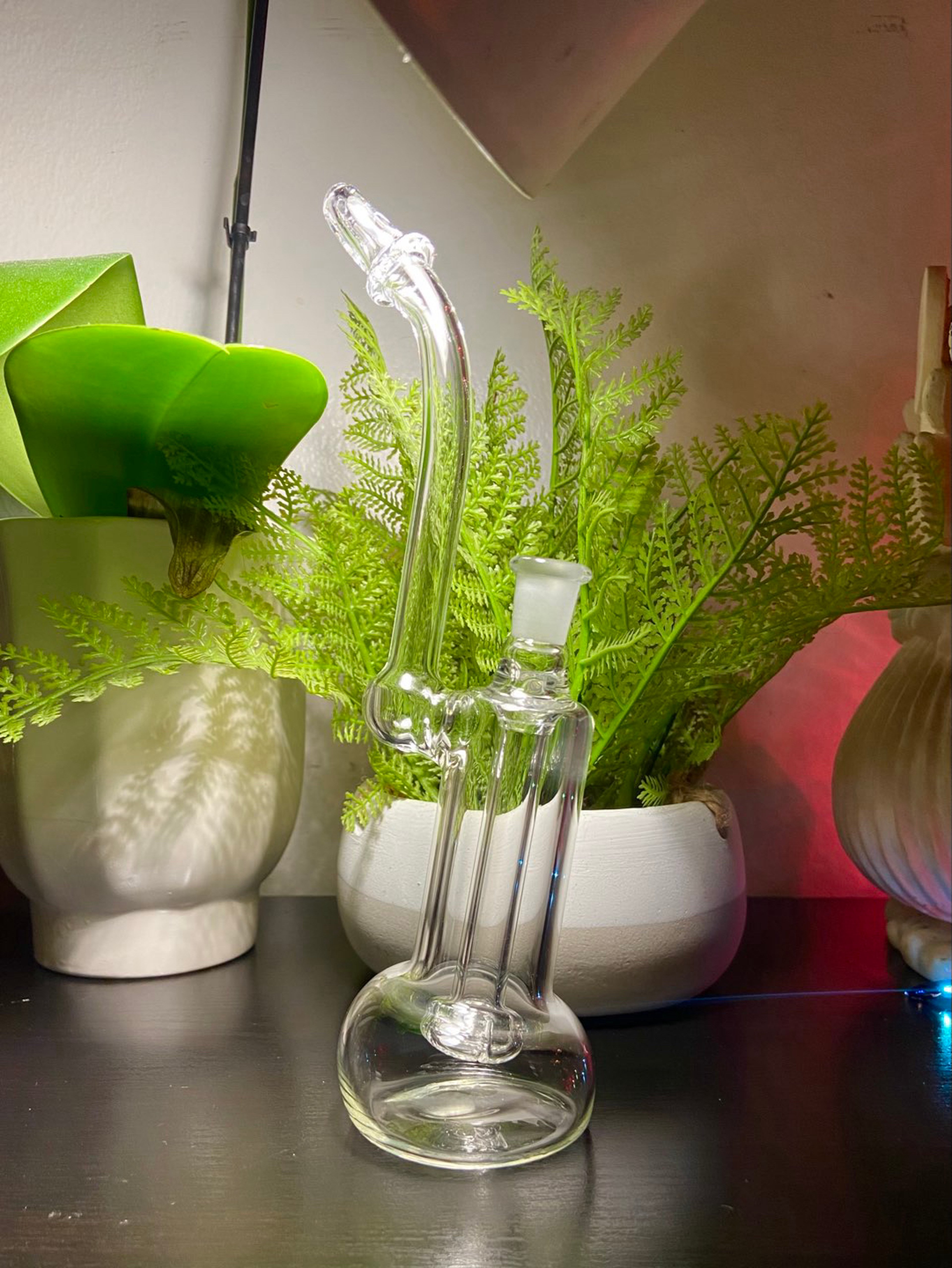 10mm Glass Bubbler Rig image 0