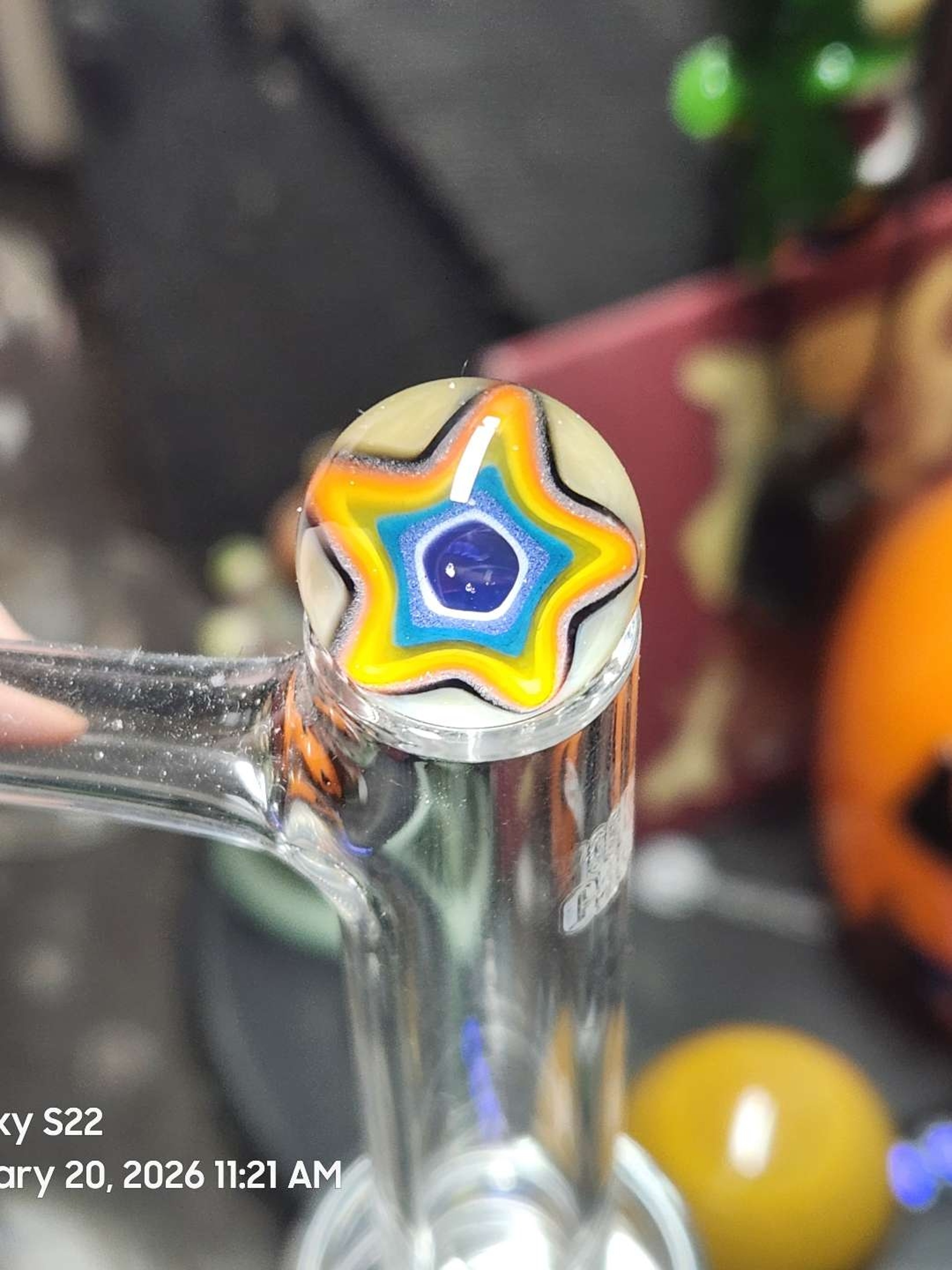 Preview pic of Burtoni mib