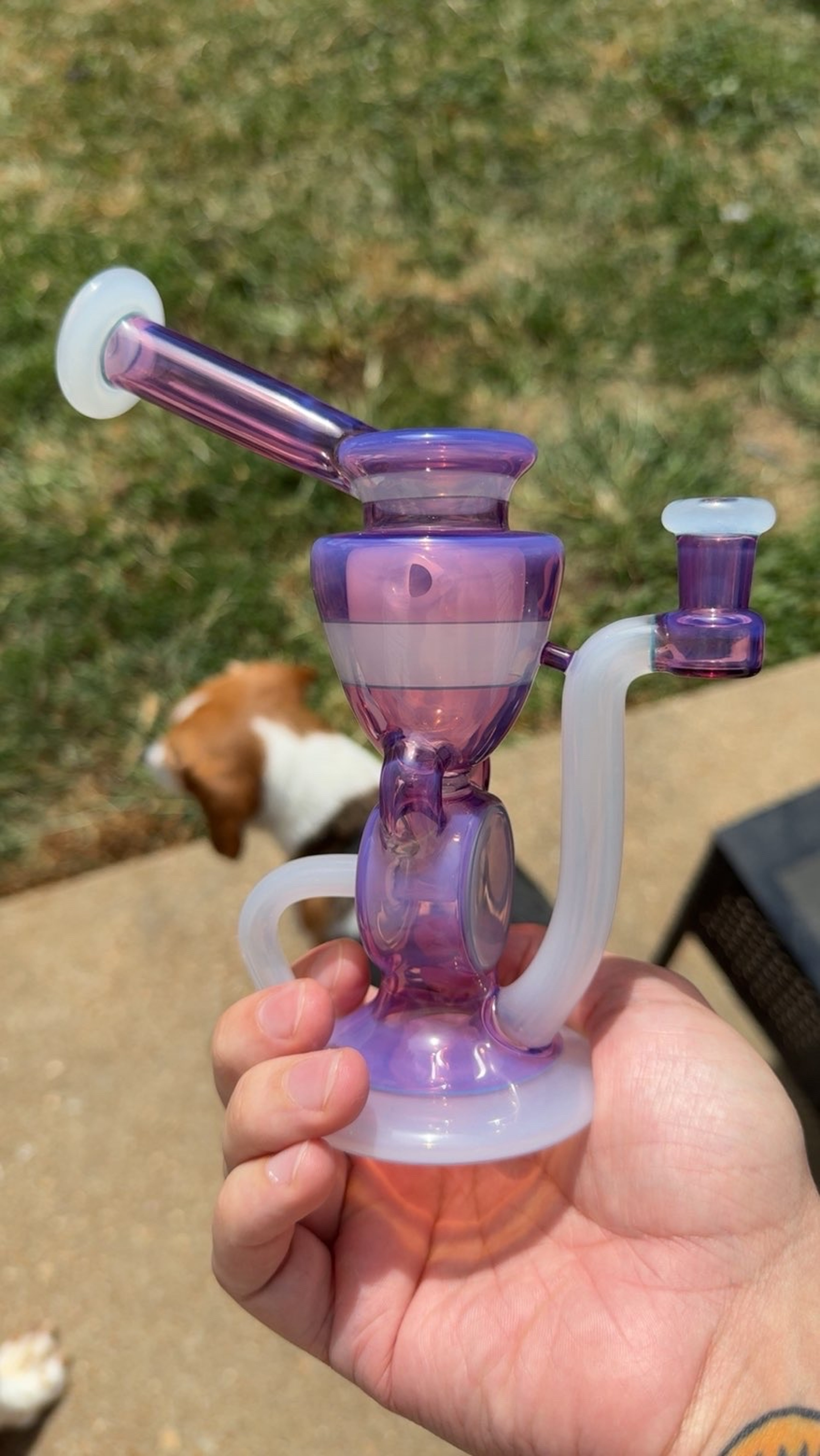 2023 Sandwich Erikmann image 0