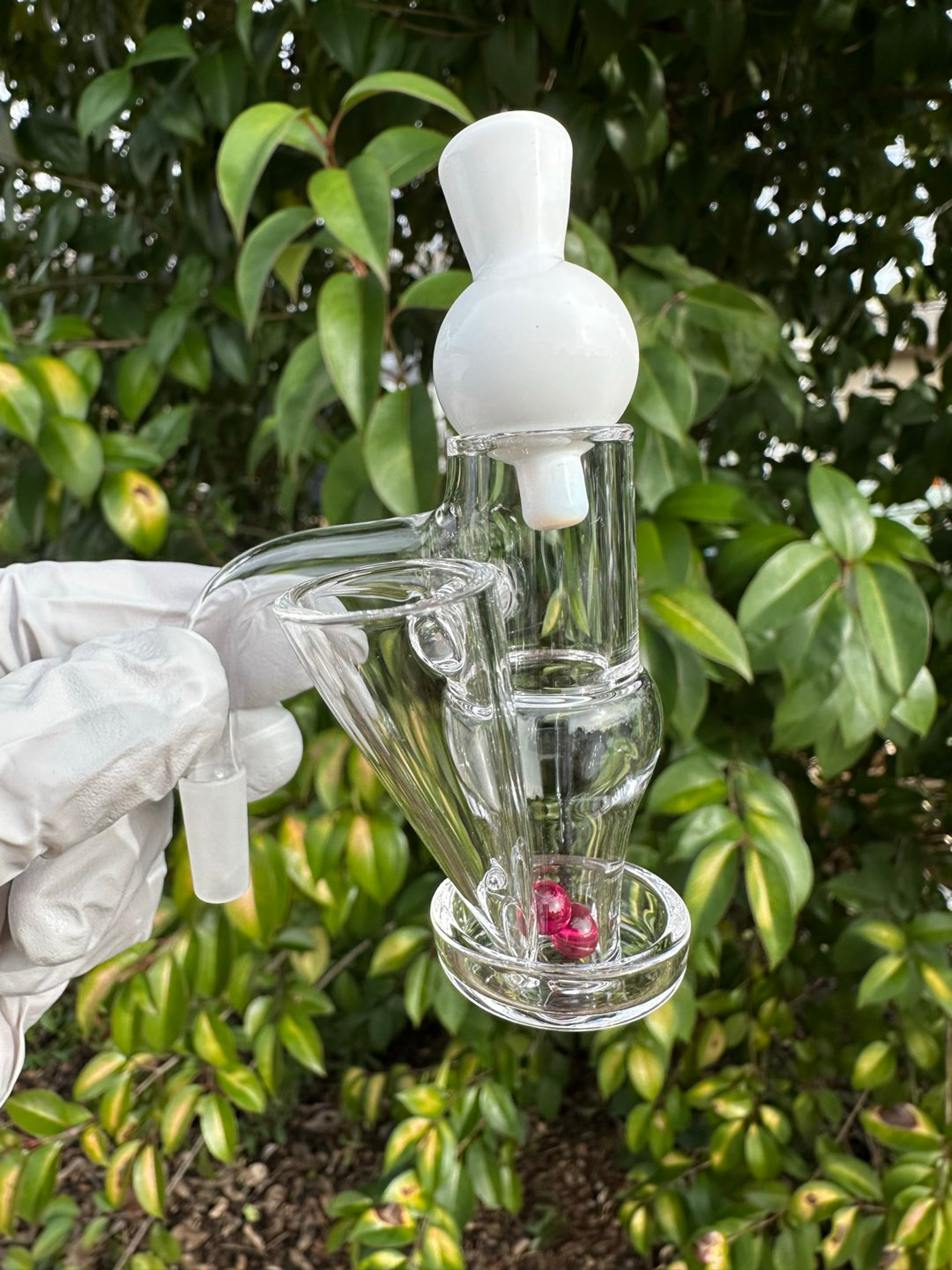 Taster Terp Slide Slurper complete set image 0